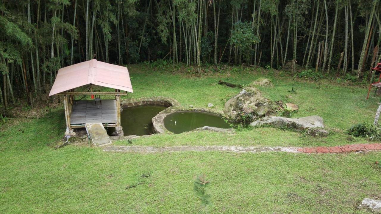 Finca Exclusividad Familiar O Grupo De Amigos Capacidad Hasta 12 Personas Calles En Placa Huella, Caminata Ecologica Alban  外观 照片