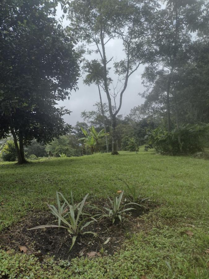 Finca Exclusividad Familiar O Grupo De Amigos Capacidad Hasta 12 Personas Calles En Placa Huella, Caminata Ecologica Alban  外观 照片