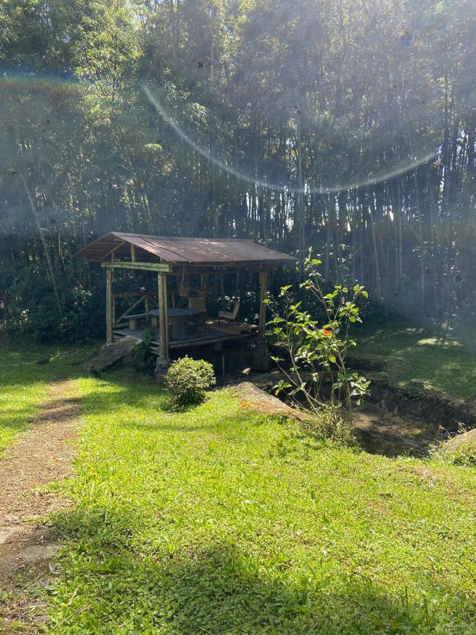 Finca Exclusividad Familiar O Grupo De Amigos Capacidad Hasta 12 Personas Calles En Placa Huella, Caminata Ecologica Alban  外观 照片