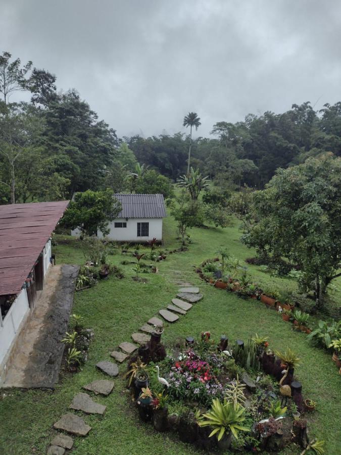 Finca Exclusividad Familiar O Grupo De Amigos Capacidad Hasta 12 Personas Calles En Placa Huella, Caminata Ecologica Alban  外观 照片
