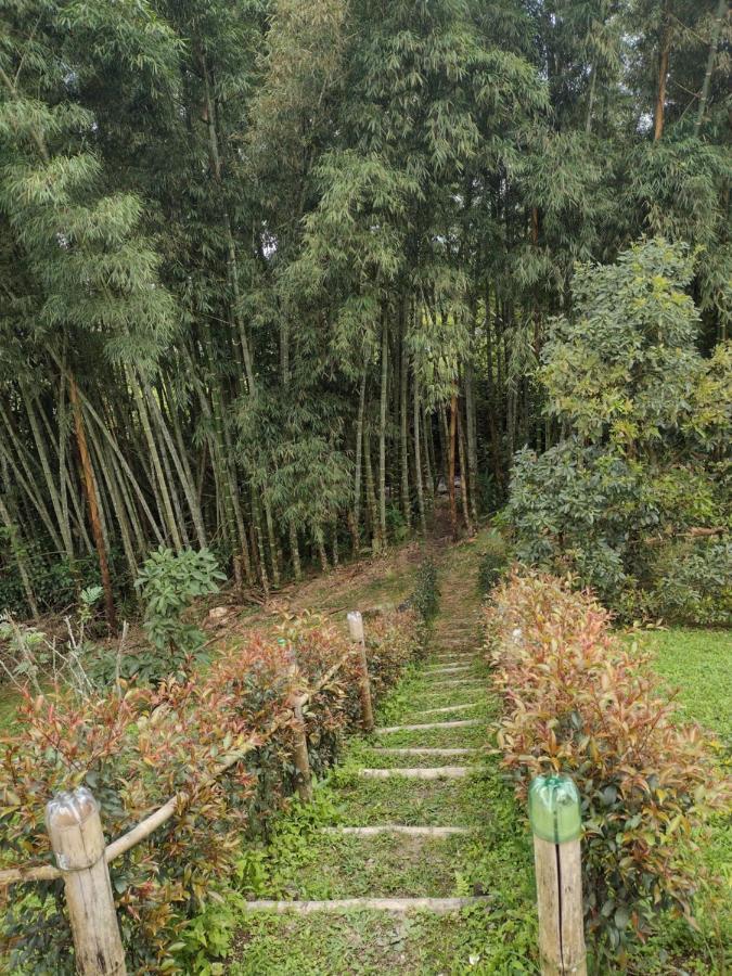 Finca Exclusividad Familiar O Grupo De Amigos Capacidad Hasta 12 Personas Calles En Placa Huella, Caminata Ecologica Alban  外观 照片