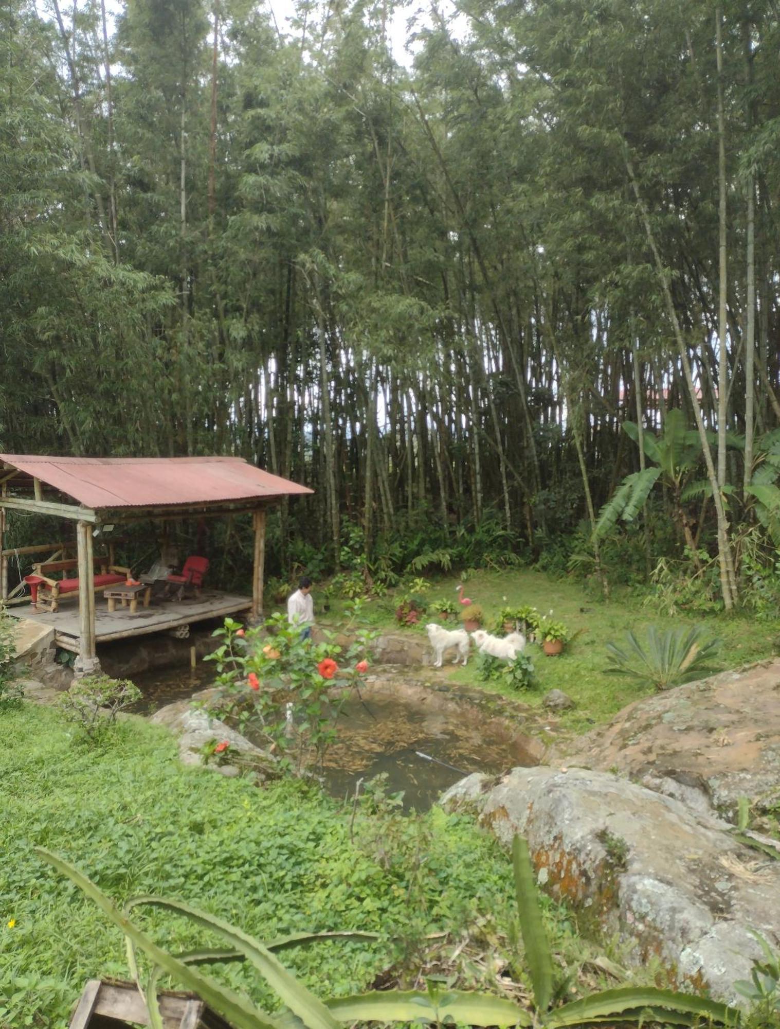 Finca Exclusividad Familiar O Grupo De Amigos Capacidad Hasta 12 Personas Calles En Placa Huella, Caminata Ecologica Alban  外观 照片