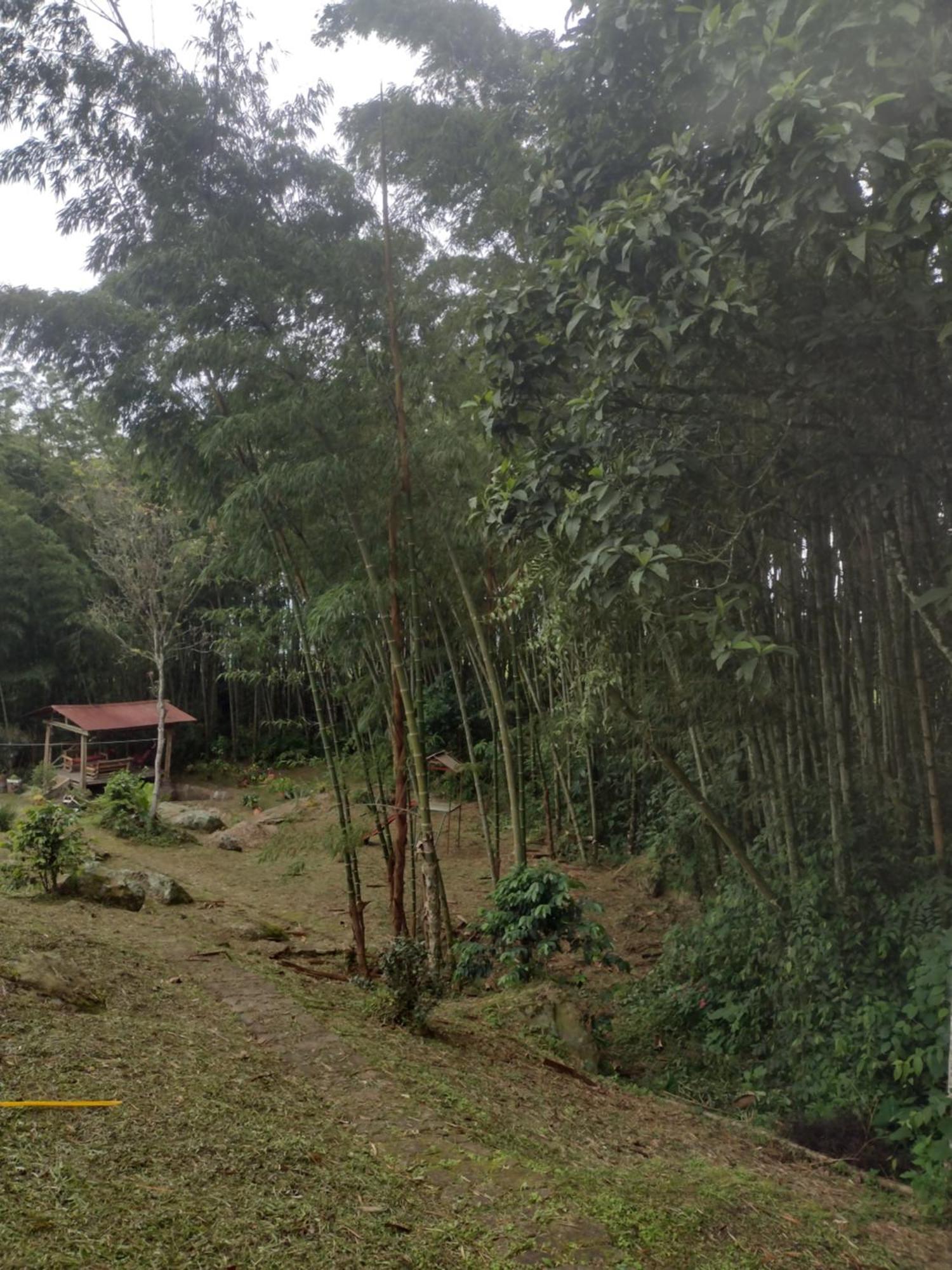 Finca Exclusividad Familiar O Grupo De Amigos Capacidad Hasta 12 Personas Calles En Placa Huella, Caminata Ecologica Alban  外观 照片