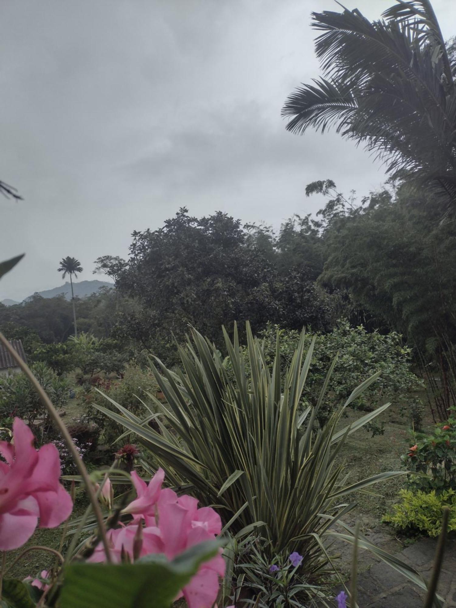 Finca Exclusividad Familiar O Grupo De Amigos Capacidad Hasta 12 Personas Calles En Placa Huella, Caminata Ecologica Alban  外观 照片